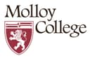 Associate Librarian, Head of Archives & Special Collections