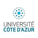 Fully Funded PhD position available: Ethics by design of virtual twins (DC15) as part of ENDOTRAIN MSCA Doctoral Network