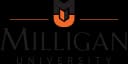 Director of Libraries