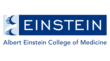 Albert Einstein College of Medicine Jobs