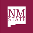 Assistant VP Student Life and Involvement