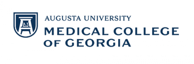 Georgia Health Sciences University logo