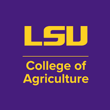 LSU - Louisiana State University and Agricultural and Mechanical College logo
