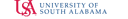Director, Student Accounting & Bursar